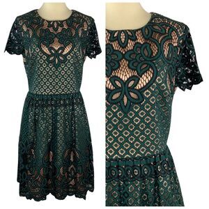 ELIZA J Fit and Flare Dress Green Lace Overlay Illusion Women’s Size 8